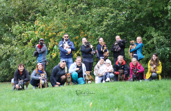 12 účastníků puppy run